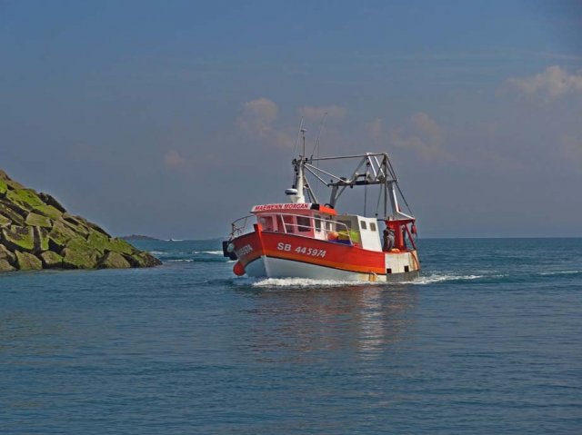 Sortie en mer